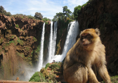 Bertucce alle cascate di ouzoud