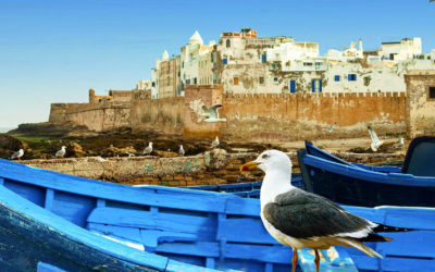 Desde Marrakech hasta Essaouira