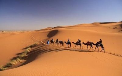 Trekking with dromedary