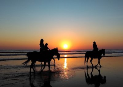 seaside cavallo essaouira