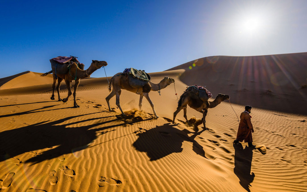 From Fes to Erg Chebbi Desert