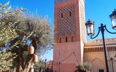 Weekend a Marrakech – viaggio di gruppo