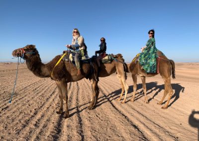 Agafay Desert trekking with dromedary