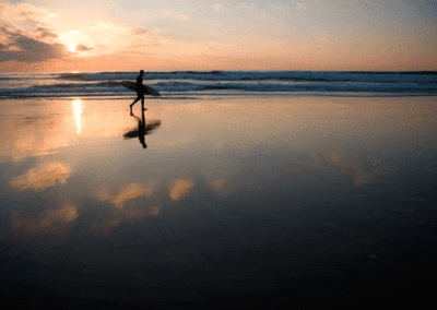 Surf